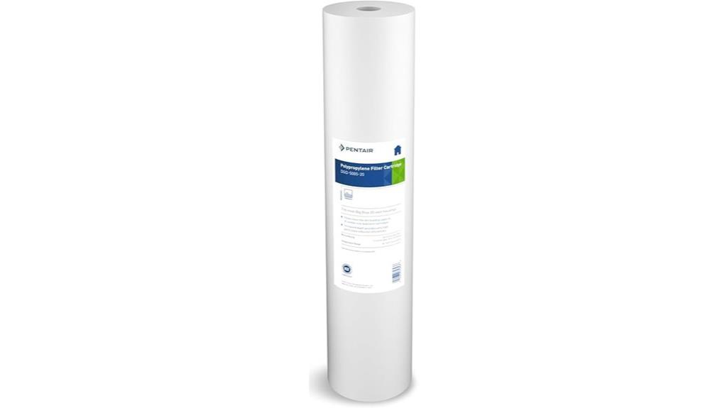 big blue water filter