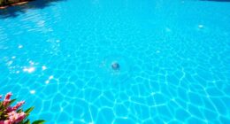 pool phosphate removal necessity
