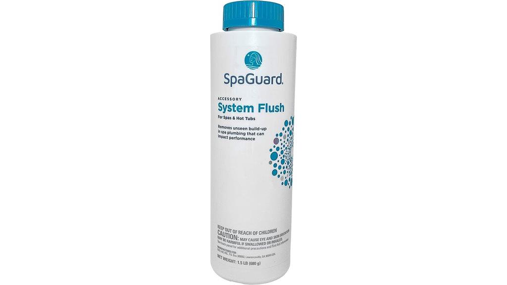 spa system cleaning process