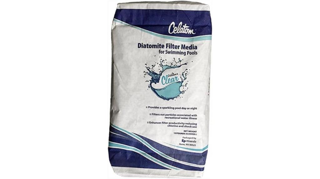 diatomaceous earth pool filter