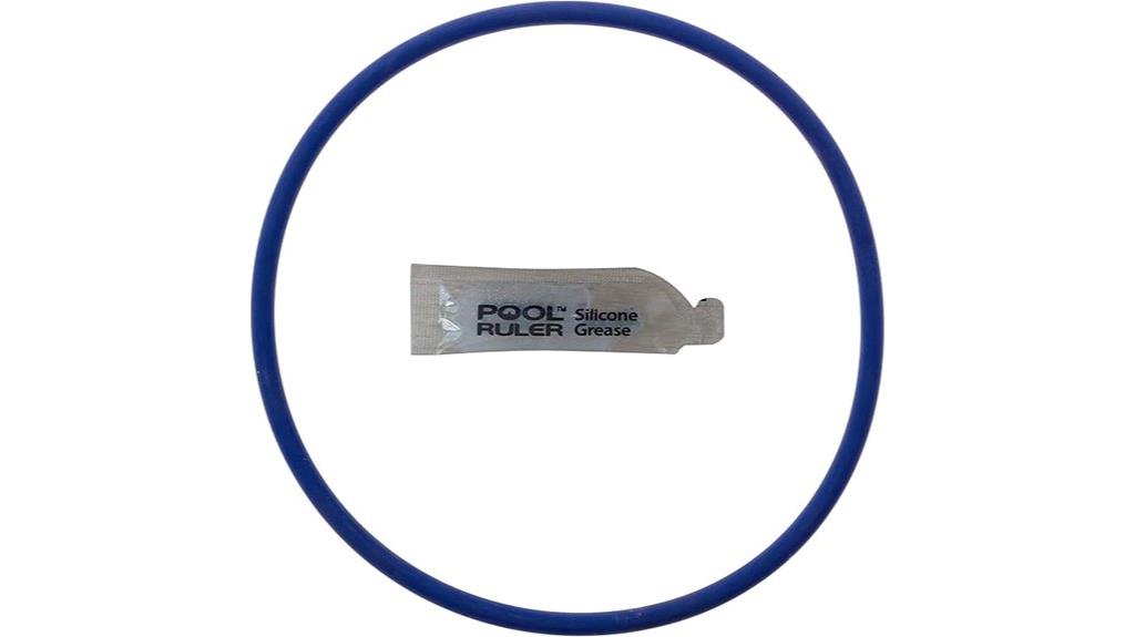 hayward chlorinator o ring