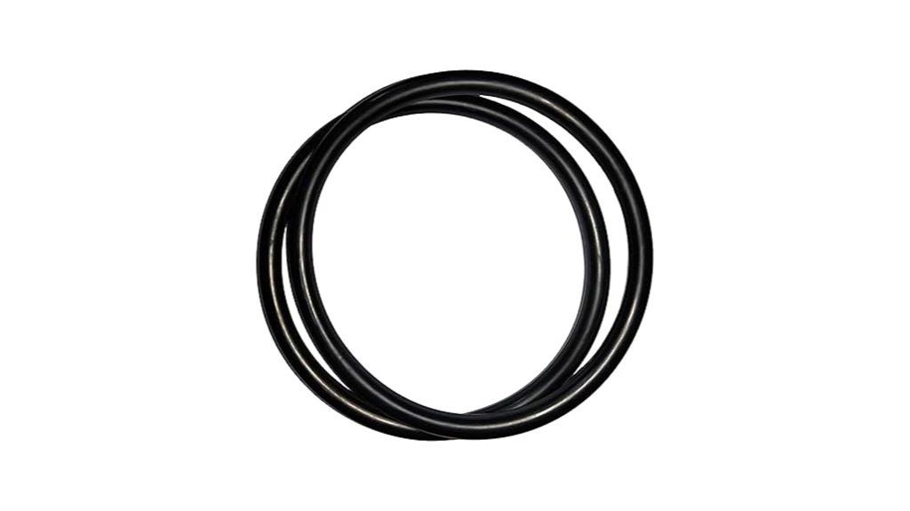 pool chlorinator lid o ring