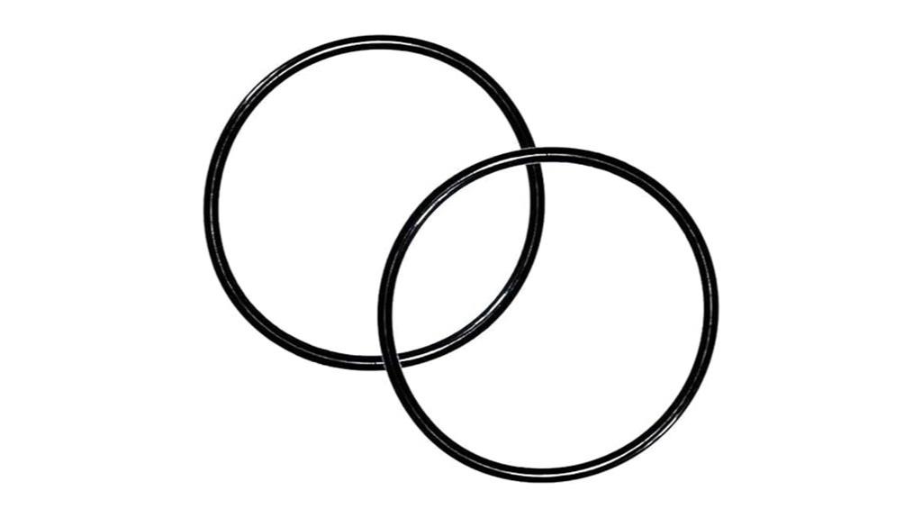 pool pump lid o ring