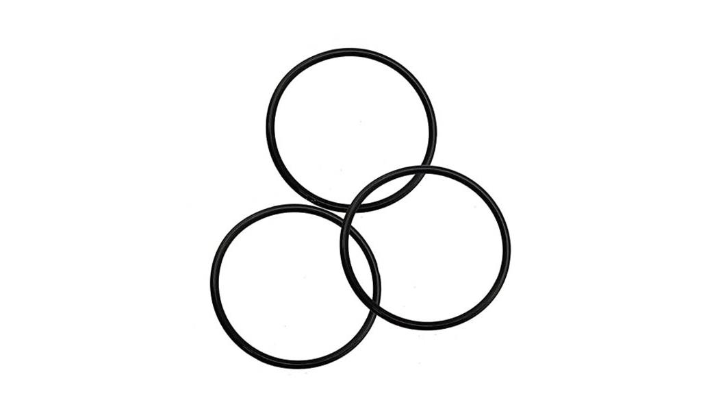 pool pump lid o ring set