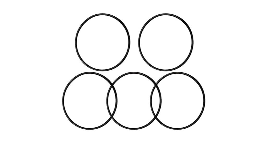 pool pump o ring set