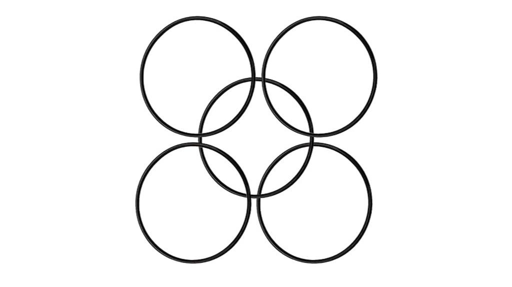 pool pump o ring set