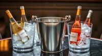 top ice buckets wine chillers