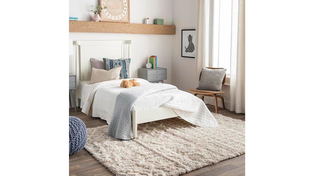 beige moroccan shag rug