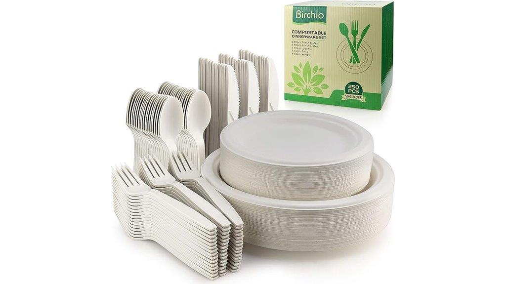 biodegradable paper plate set
