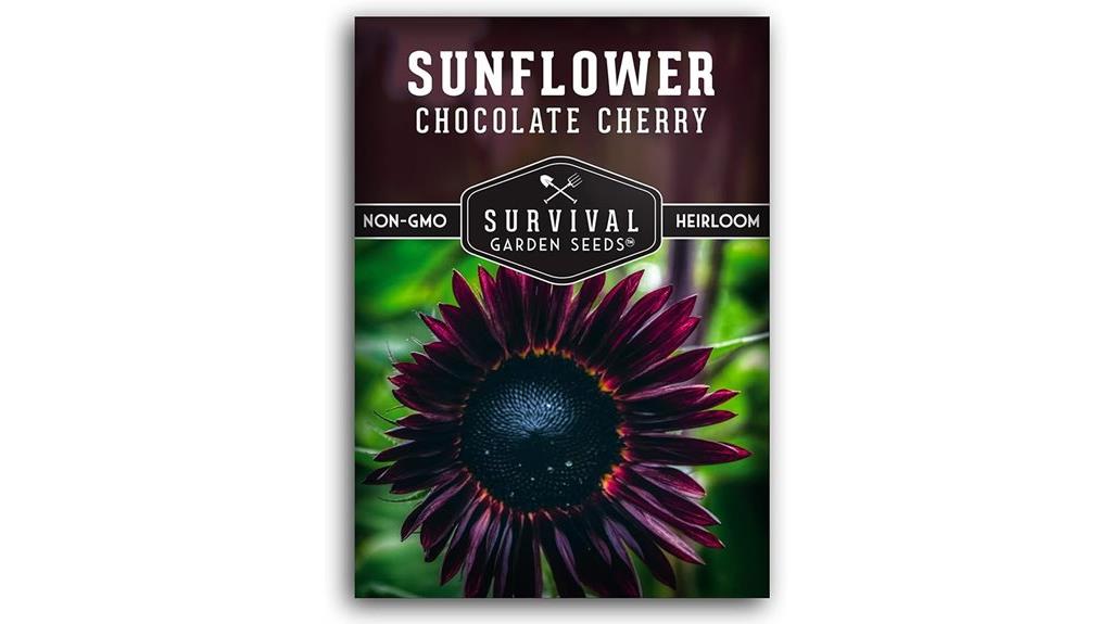 chocolate cherry sunflower seeds