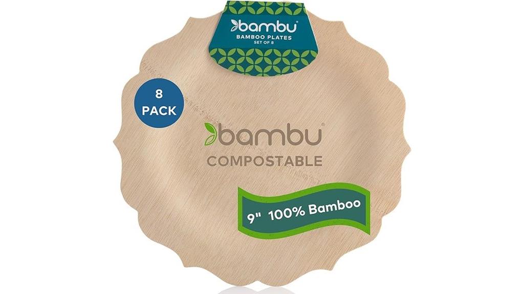 disposable bamboo plate set