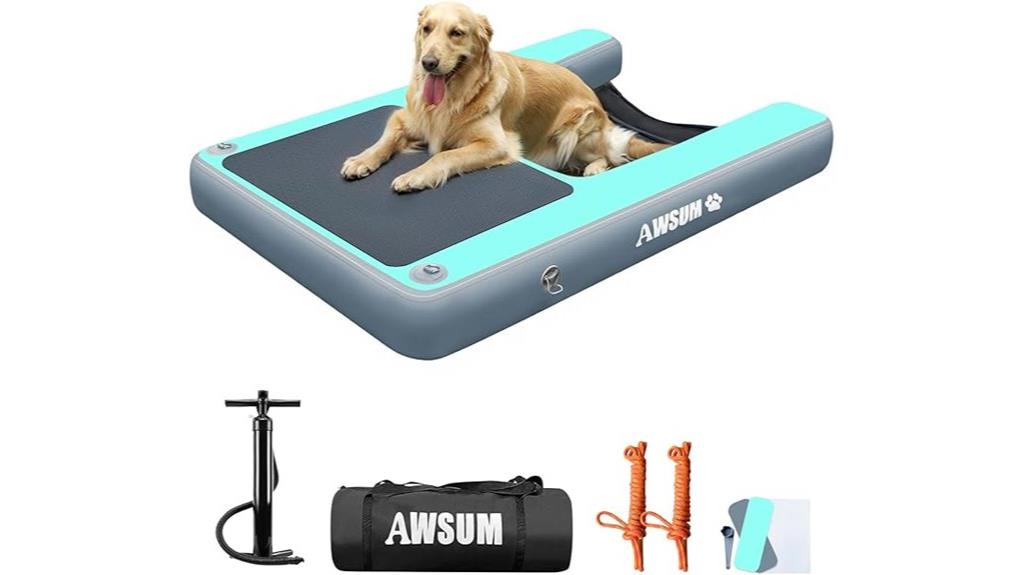 dog boat ramp float