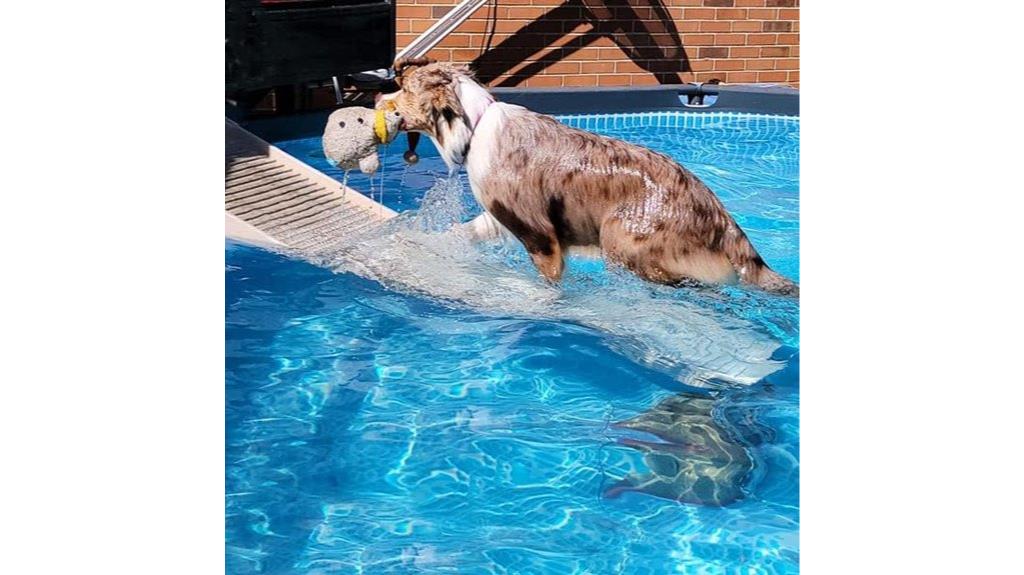 dog pool ramp