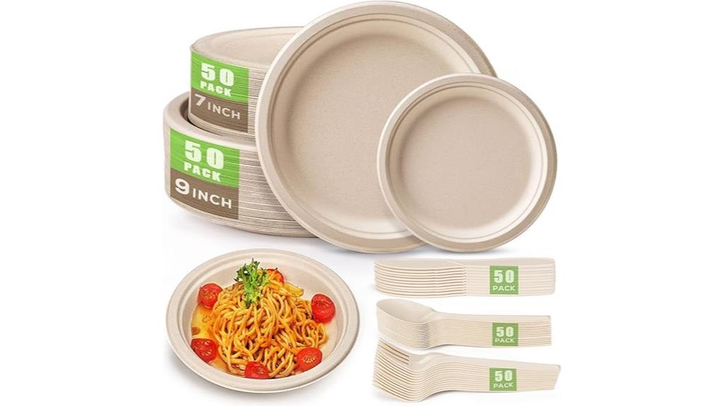 eco friendly disposable plate set