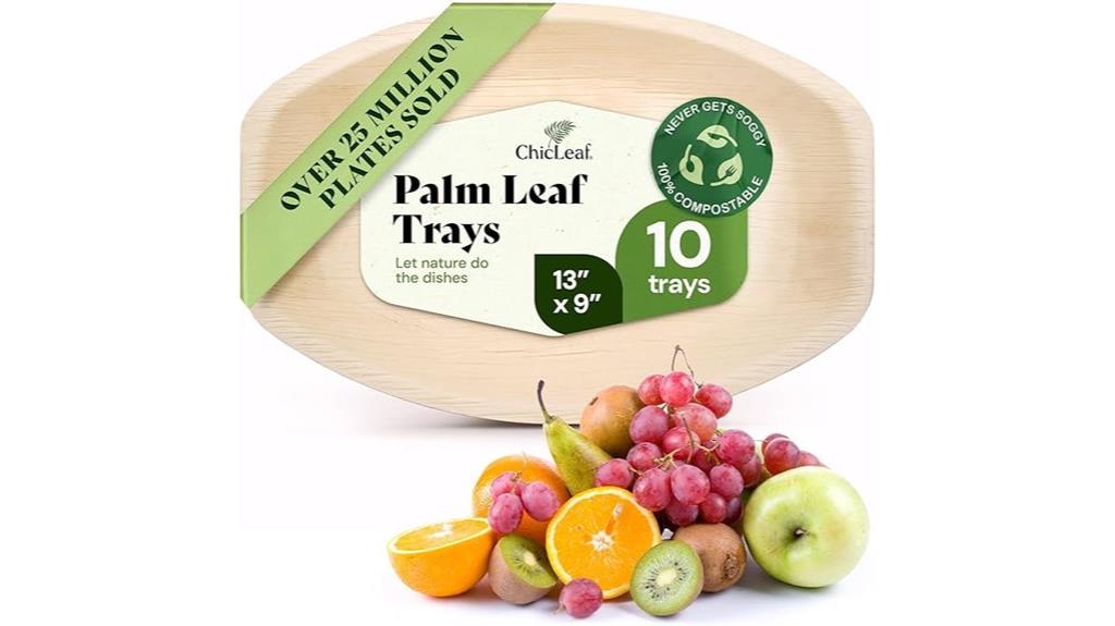 eco friendly disposable serving trays