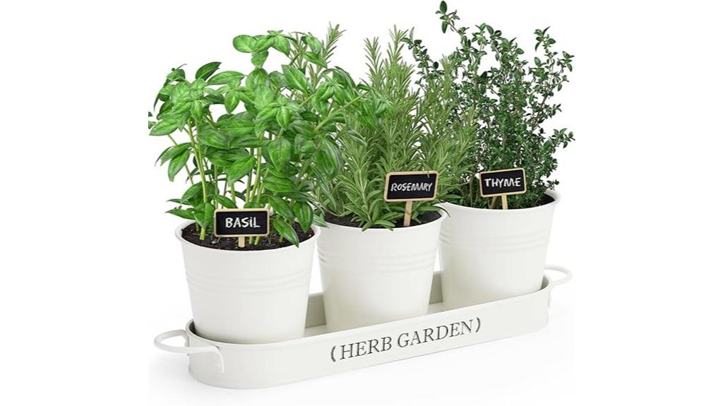 indoor herb garden planter