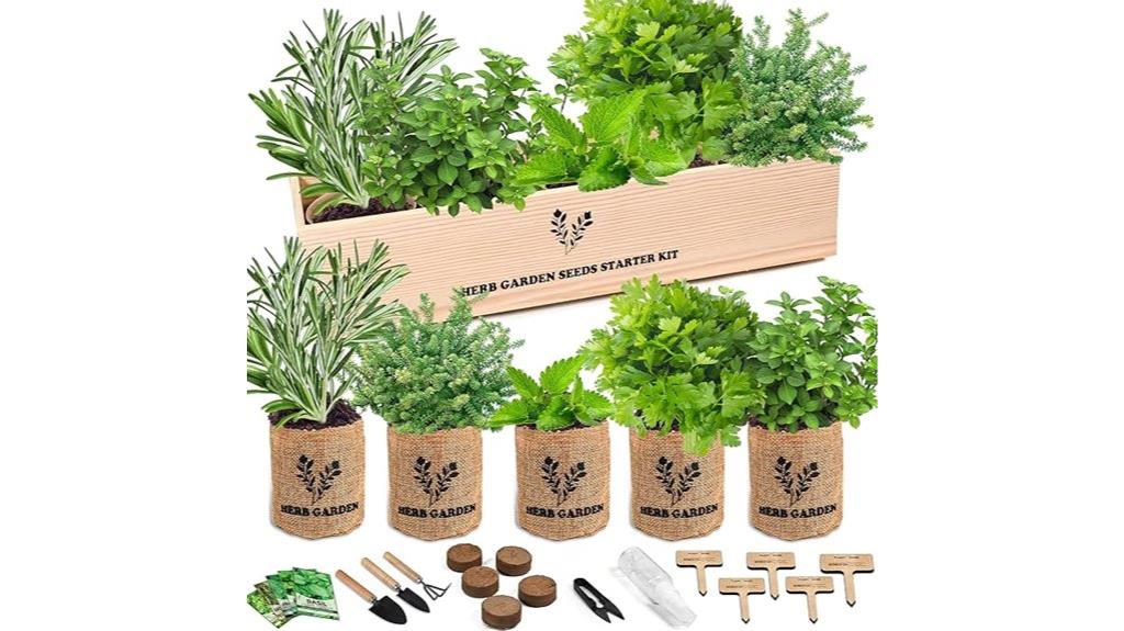 indoor herb gardening kit
