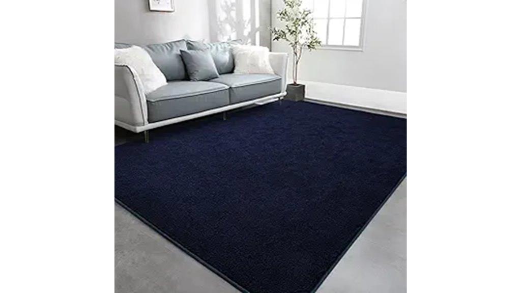 large 4x6 living rug