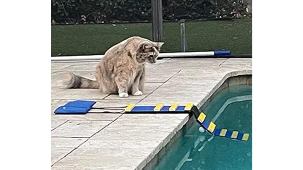 original american cat ramp