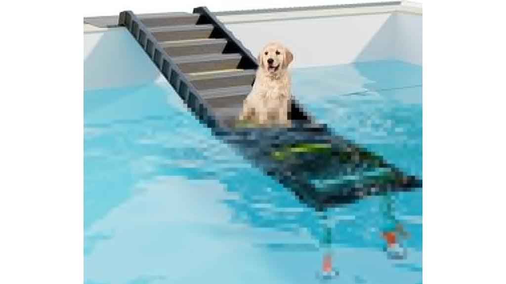 portable dog pool ramp