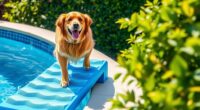 top pet pool ramps