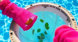 top pool skimmer socks