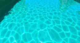 pool algae growth solutions
