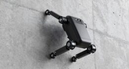 mechanisms and limitations of wall climbing