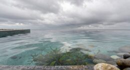 natural cloudy water solution