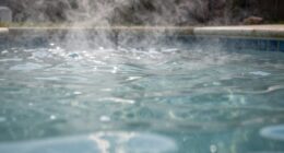 algae or chemical imbalance