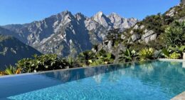 landscape enhances pool aesthetics