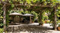 pergolas provide permanent shade