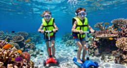 prioritize safety and supervision