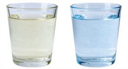 purity versus mineral balance