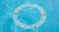 signs of pool water issues