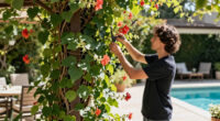 This Non-Invasive Flowering Vine Helps Keep Your Home Cool – And Hummingbirds Love It