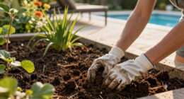 Turbocharge Your Soil in June – The Lazy Summer Soil Refresh that Rejuvenates Your Yard with Zero Tilling