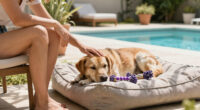 14 Best Dog Calming Products in 2026