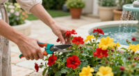 Cut Back These 5 Flowers in July to Keep Gorgeous Blooms Coming Through Summer and Into Fall