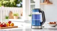Ninja KT200BL Precision Temp Kettle: Perfect Summer Sips