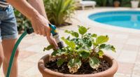 The 3 Common Gardening Mistakes That Can Kill Plants During a Heatwave (And You Probably Don't Even Realize)