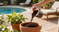 Tired of Watering Pots Constantly? This Soil Mix-In Keeps Containers Moist for Longer