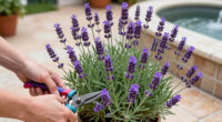 Meet The Lavender Dupe With Triple The Bloom Time And No Woody Stems – It’s Set To Become A Garden Classic