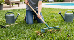 5 Healing Lawn Care Tasks To Revive And Repair Grass After Summer Heat – Get These Fixes Done Before September Ends
