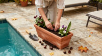 6 Surefire Flowers To Plant In October For Stronger Growth And A Garden Brimming With Blooms Next Summer