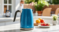 Beat the Summer Heat with the Ninja KT200BL Electric Kettle & Perfect Water Pairings