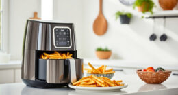 Enjoy Summer Crunch with the Ninja Air Fryer XL — Perfect for Poolside Snacking