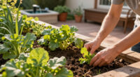 Gwyneth Paltrow’s Raised Bed Garden Is Beautiful And Practical – You Can Get The Look On Any Budget