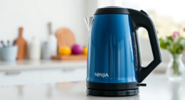 Keep Your Ninja KT200BL Kettle Sparkling All Summer Long
