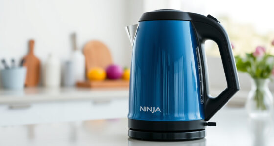 Keep Your Ninja KT200BL Kettle Sparkling All Summer Long